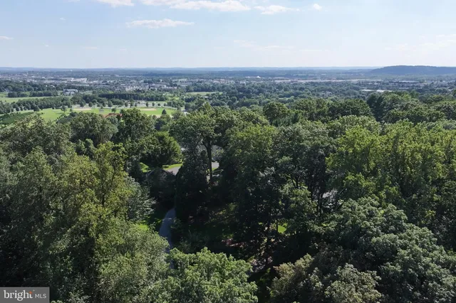 a view of a city with lush green forest
