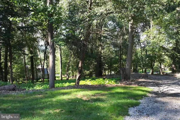a view of a park with a tree