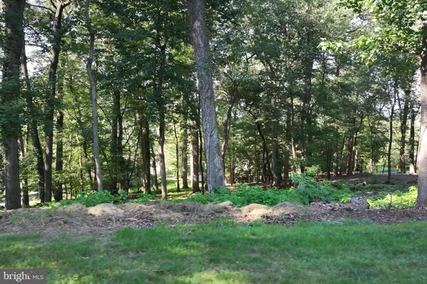 a view of backyard with green space