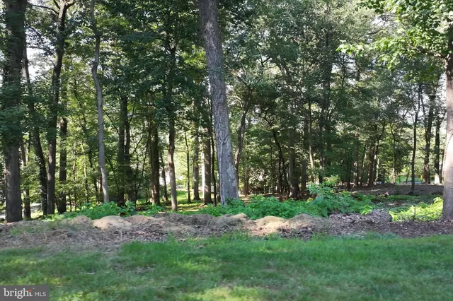 a view of backyard with green space