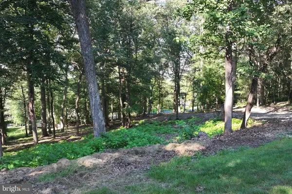 a view of a park with large trees