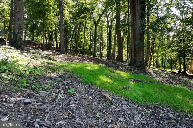 a view of outdoor space with trees