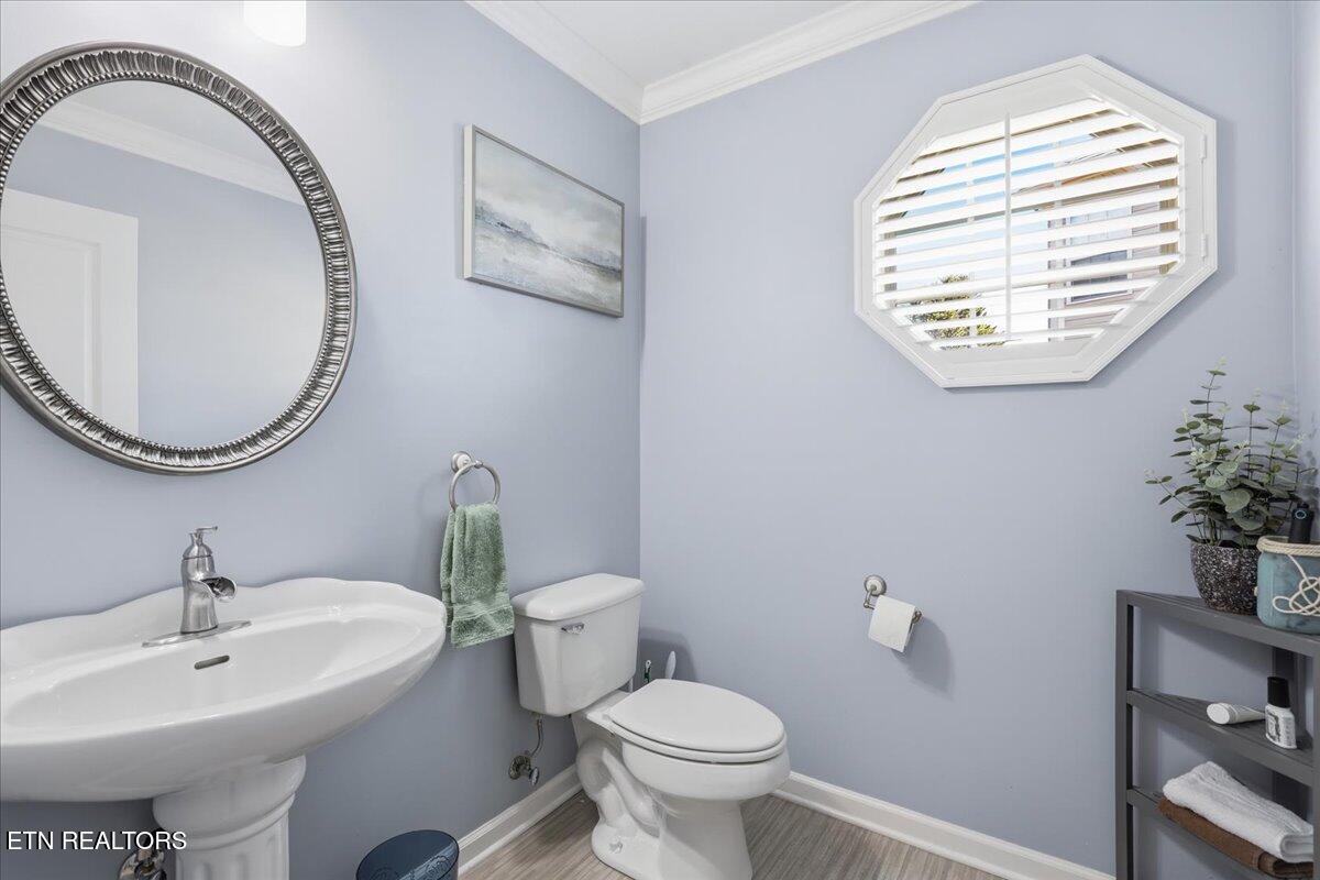 1451 Wineberry Road Powell, TN 37849 - Photo 20 of 42 20-019_7K9A4666