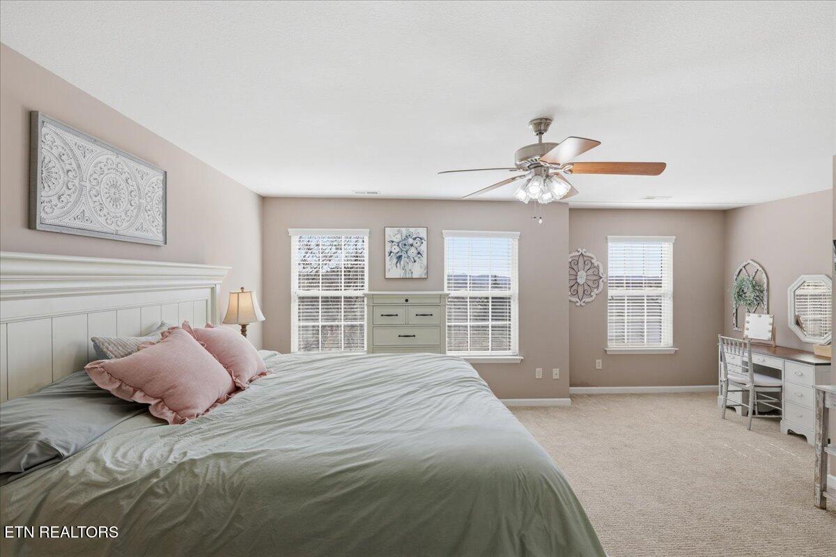 1451 Wineberry Road Powell, TN 37849 - Photo 24 of 42 24-032_7K9A4705