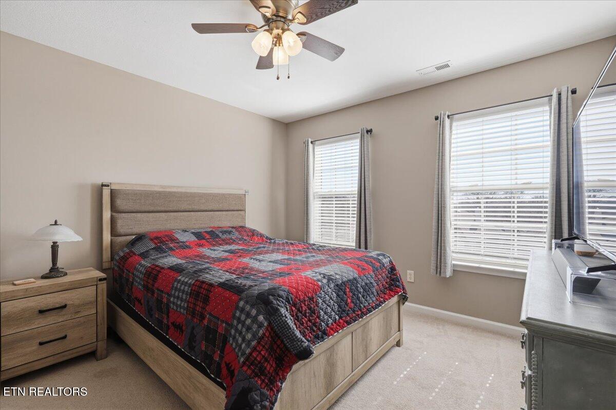 1451 Wineberry Road Powell, TN 37849 - Photo 30 of 42 30-028_7K9A4693