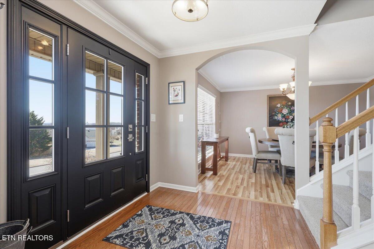 1451 Wineberry Road Powell, TN 37849 - Photo 4 of 42 04-001_7K9A4600