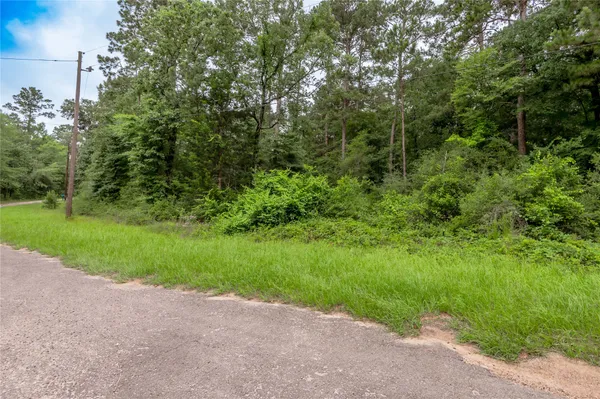 $4,500 | Lot 56 Post Oak Circle, Trinity, TX 75862