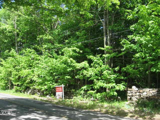 a plant view