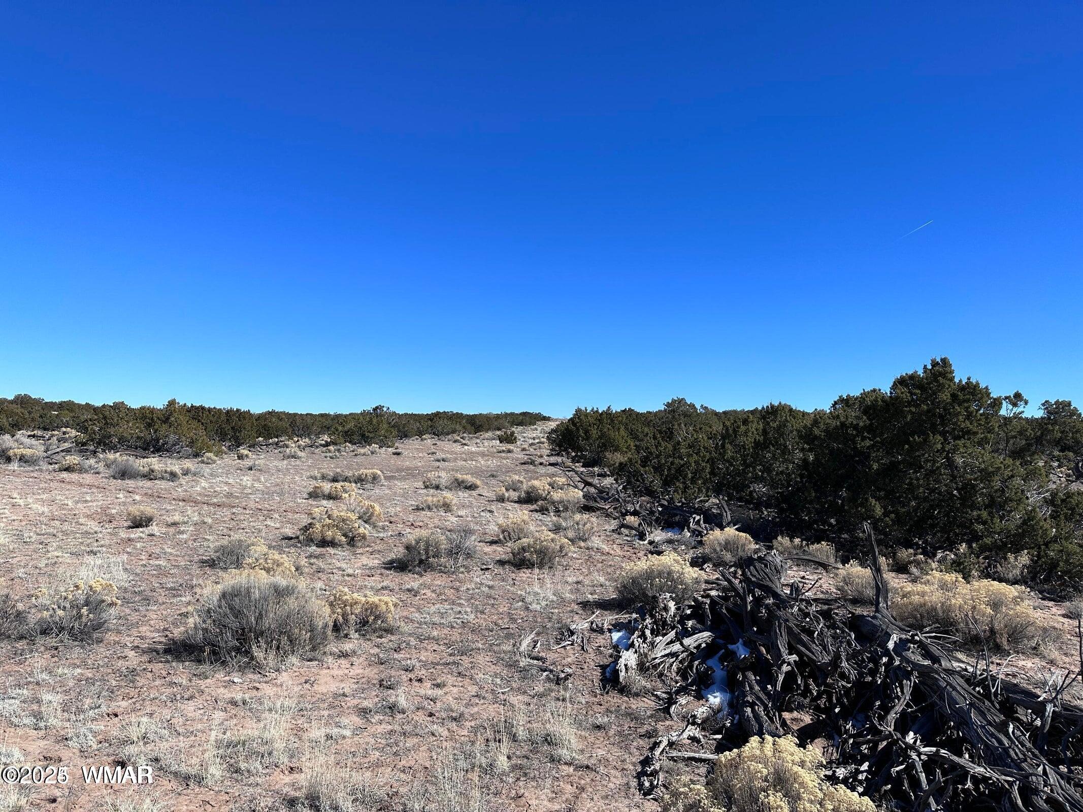 4 North B N N7411 Springerville, AZ 85938 - Photo 15 of 19 a view of a city