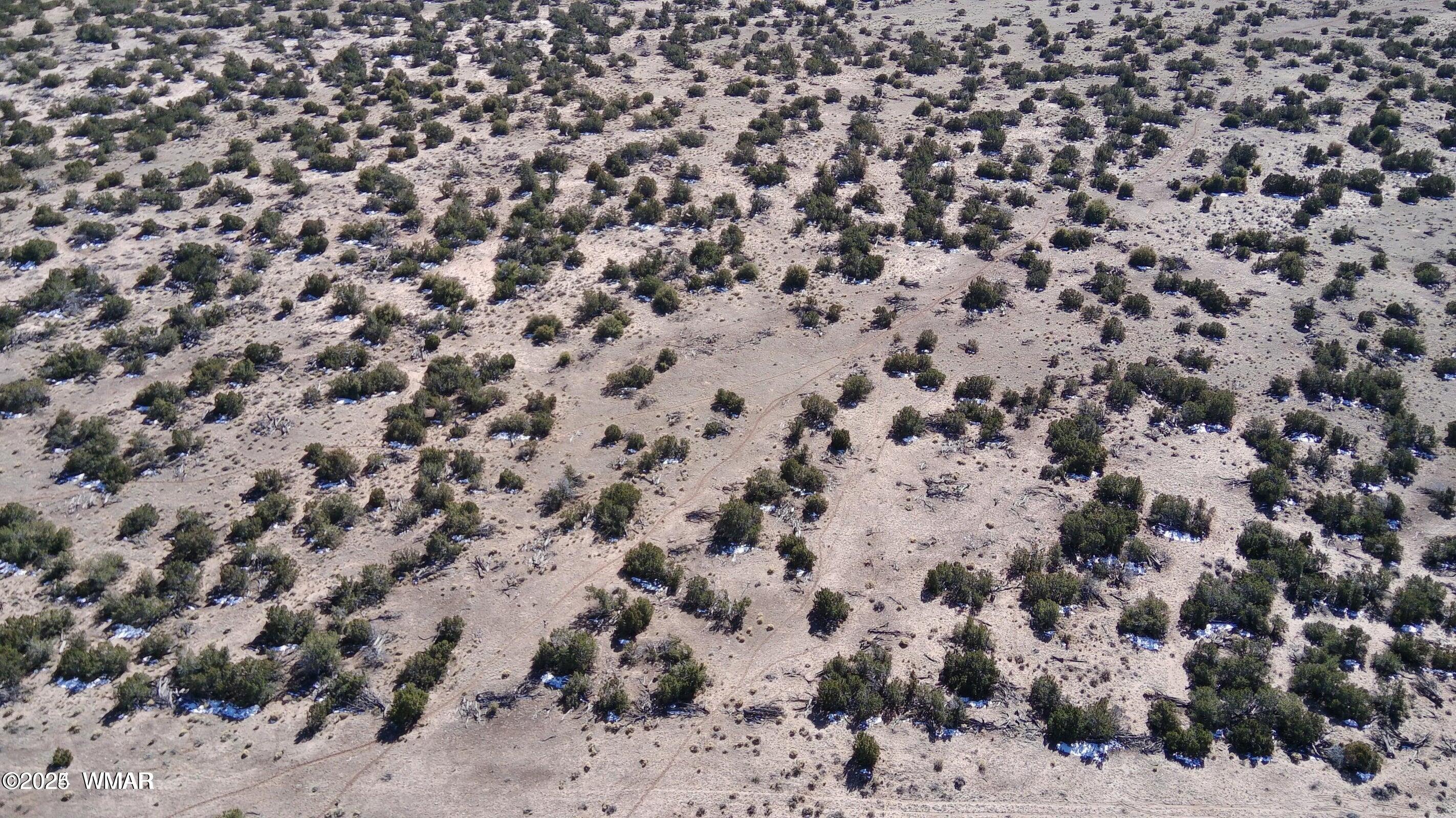 4 North B N N7411 Springerville, AZ 85938 - Photo 2 of 19 a view of a dry yard
