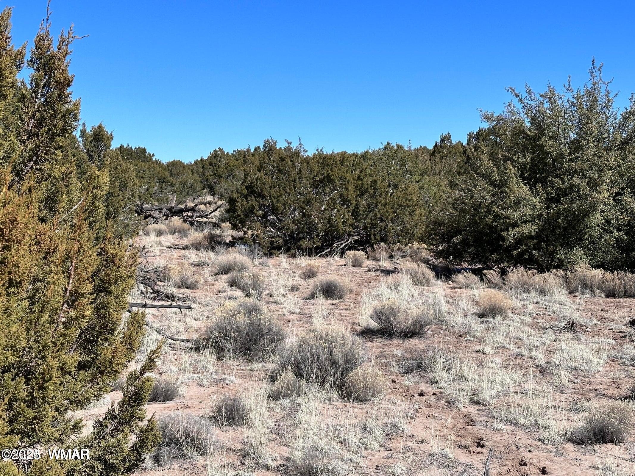 4 North B N N7411 Springerville, AZ 85938 - Photo 7 of 19 a view of a covered with snow in the background