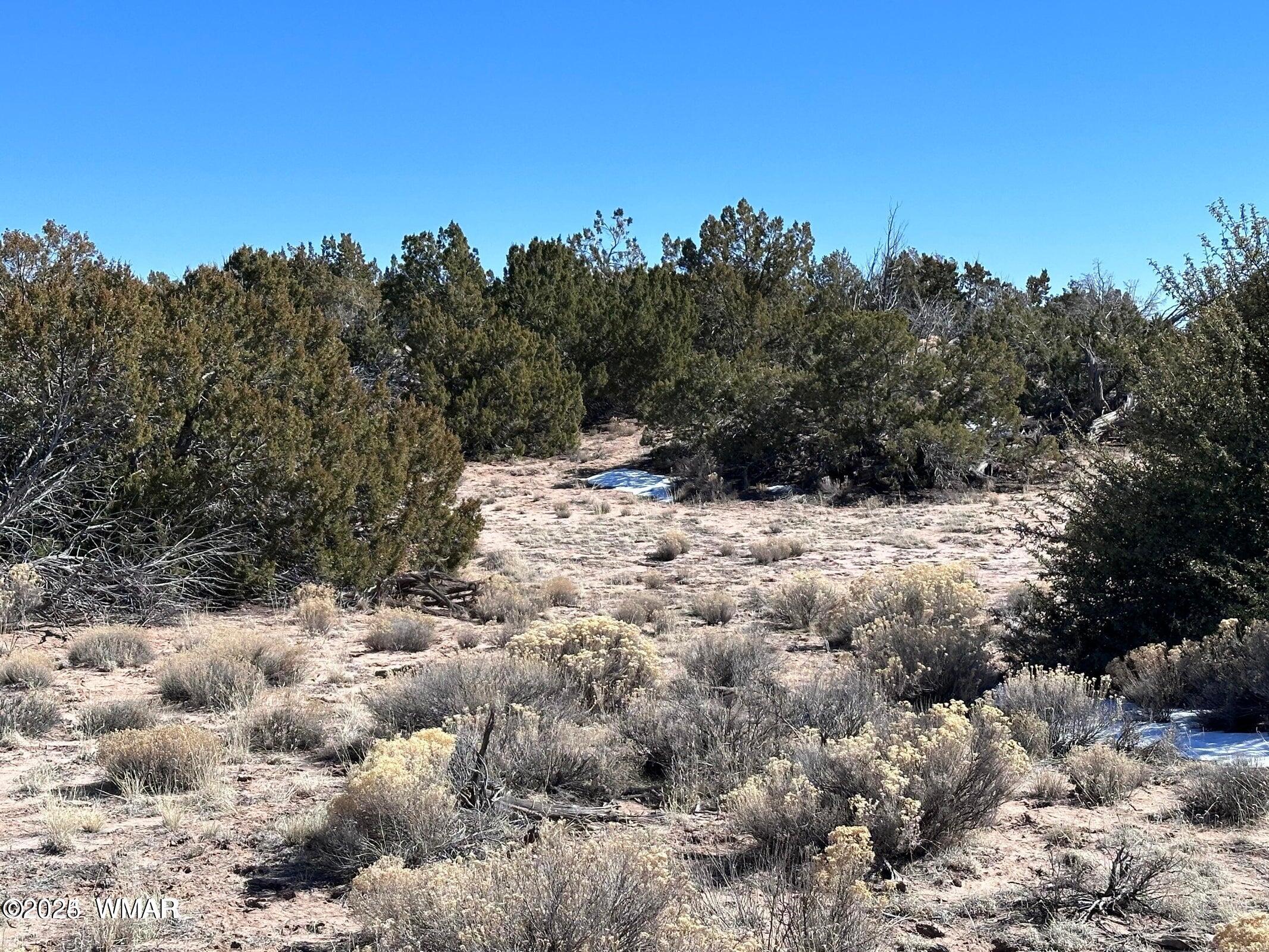 4 North B N N7411 Springerville, AZ 85938 - Photo 8 of 19 a view of a snow covered with snow