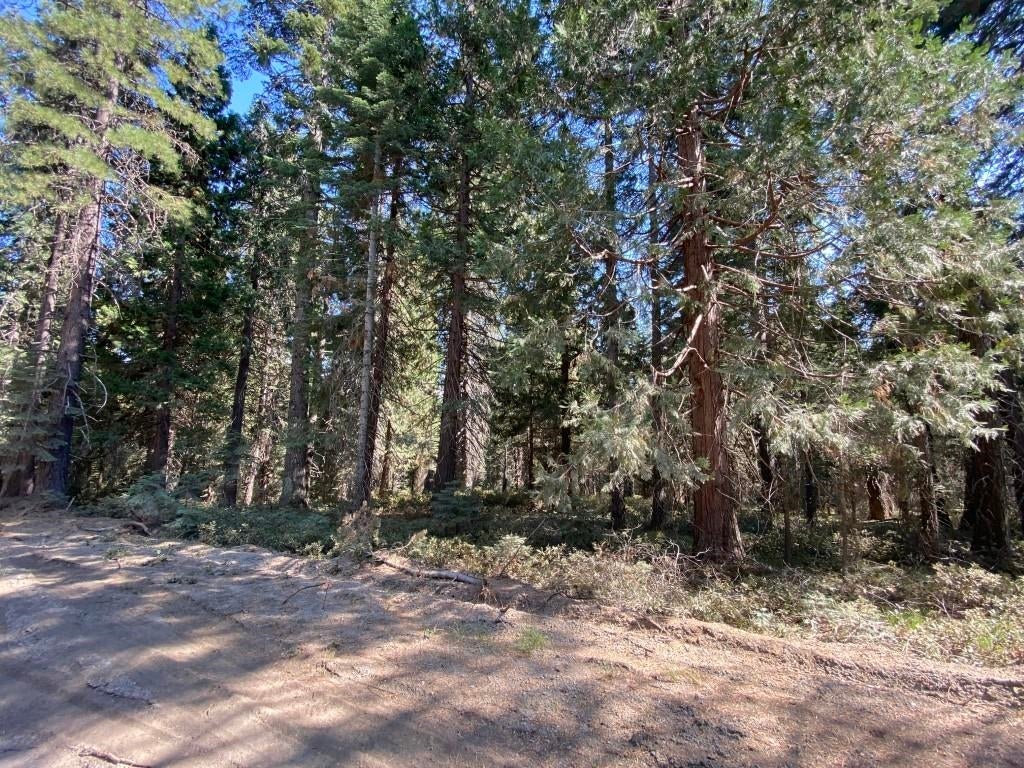 3-i-1 Red Fir Road McCloud, CA 96057 - Photo 8 of 12 Gallery Image 8