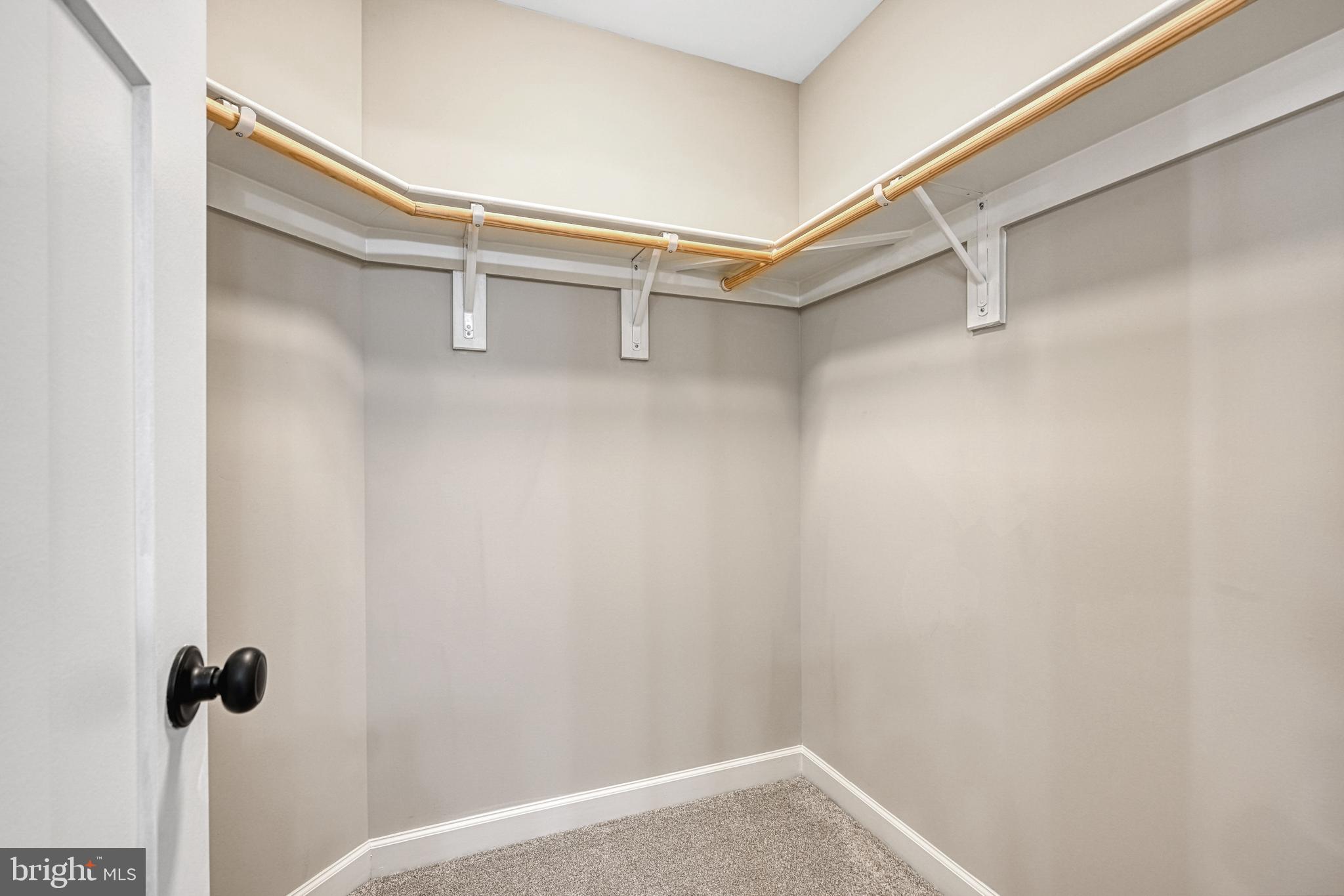 48 Pine Drive Louisa, VA 23093 - Photo 29 of 76 a view of walk in closet