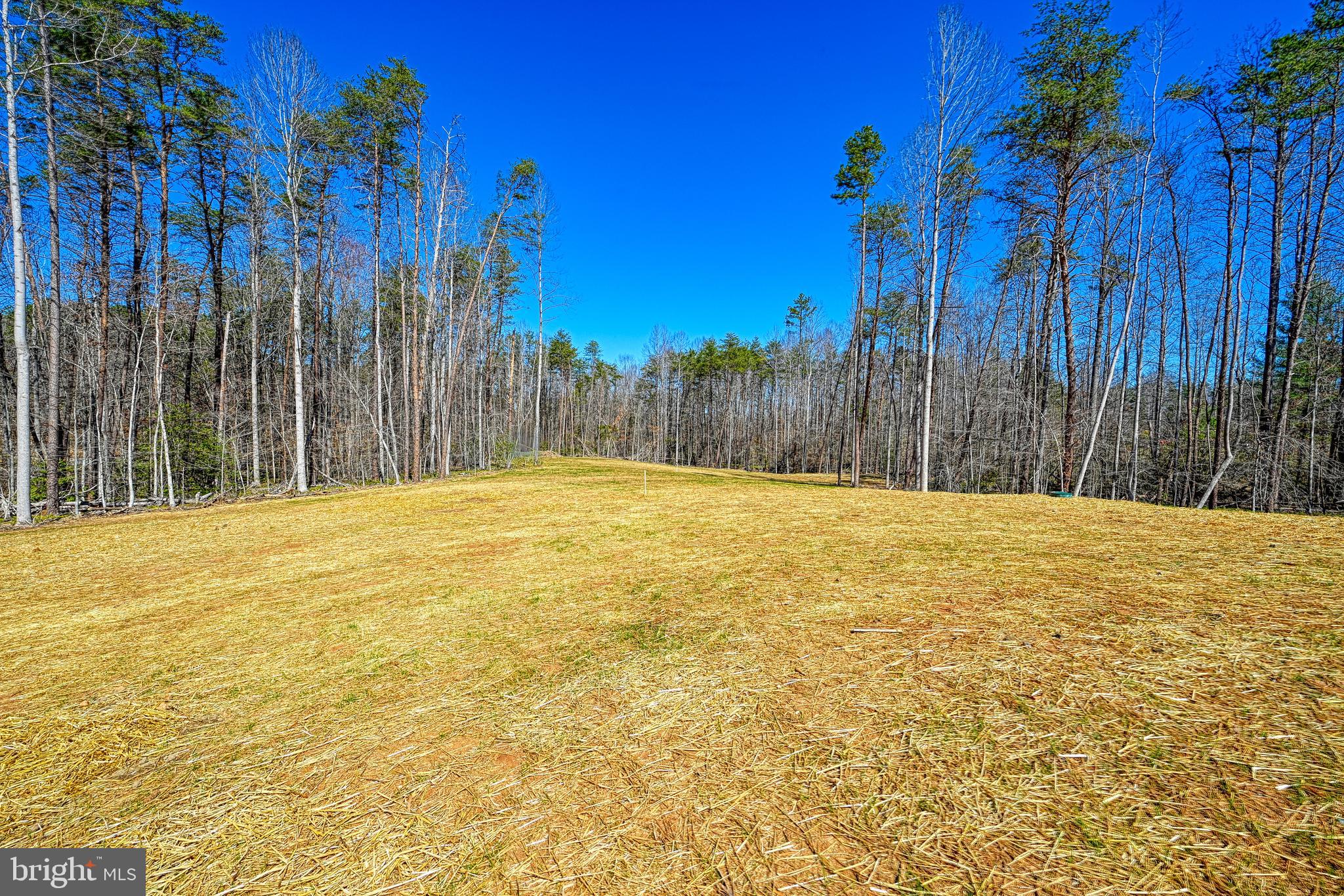 48 Pine Drive Louisa, VA 23093 - Photo 71 of 76 a swimming pool with an outdoor space and seating area