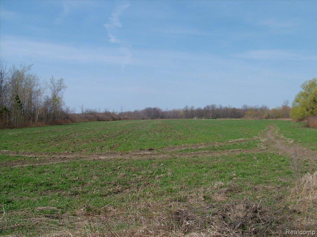 3801 Quain Road Emmett, MI 48022 - Photo 8 of 8 DSCF2249