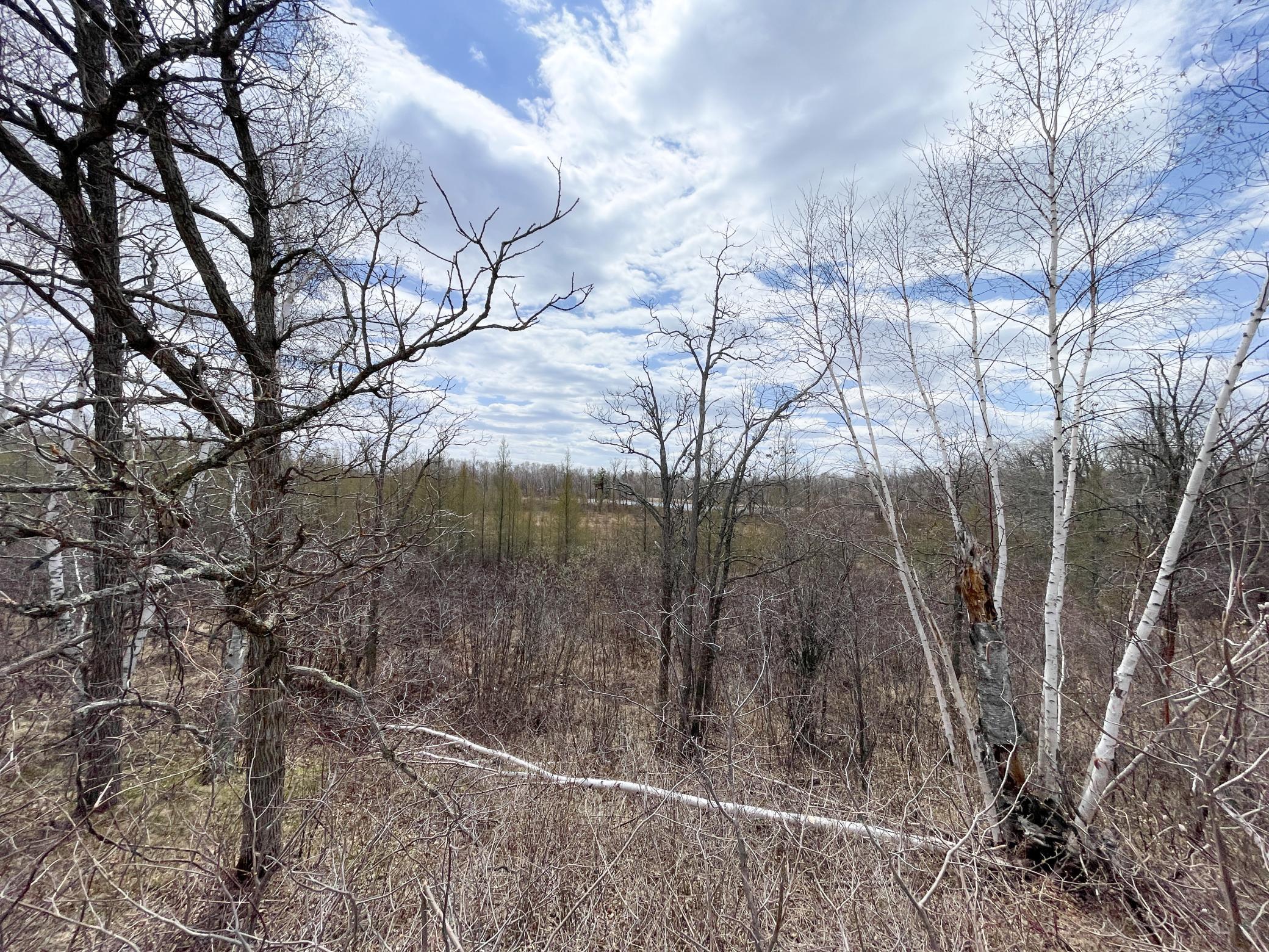 Tbd1 Boot Lake Road Southwest Bemidji, MN 56601 - Photo 29 of 41