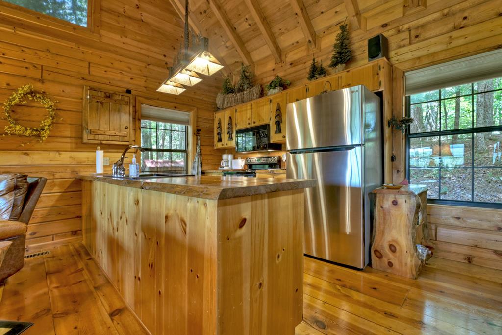 306 Dupont Drive Blue Ridge, GA 30513 - Photo 9 of 40 Gallery Image 9