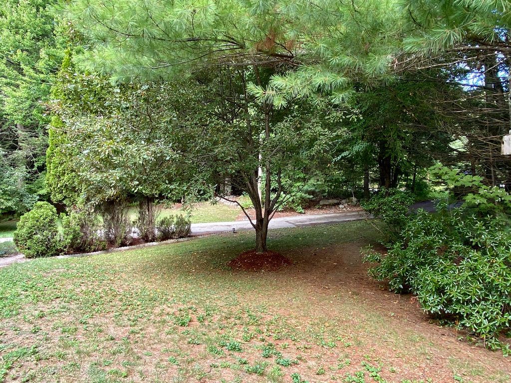 4 Wyman Road Brookline, NH 03033 - Photo 24 of 26