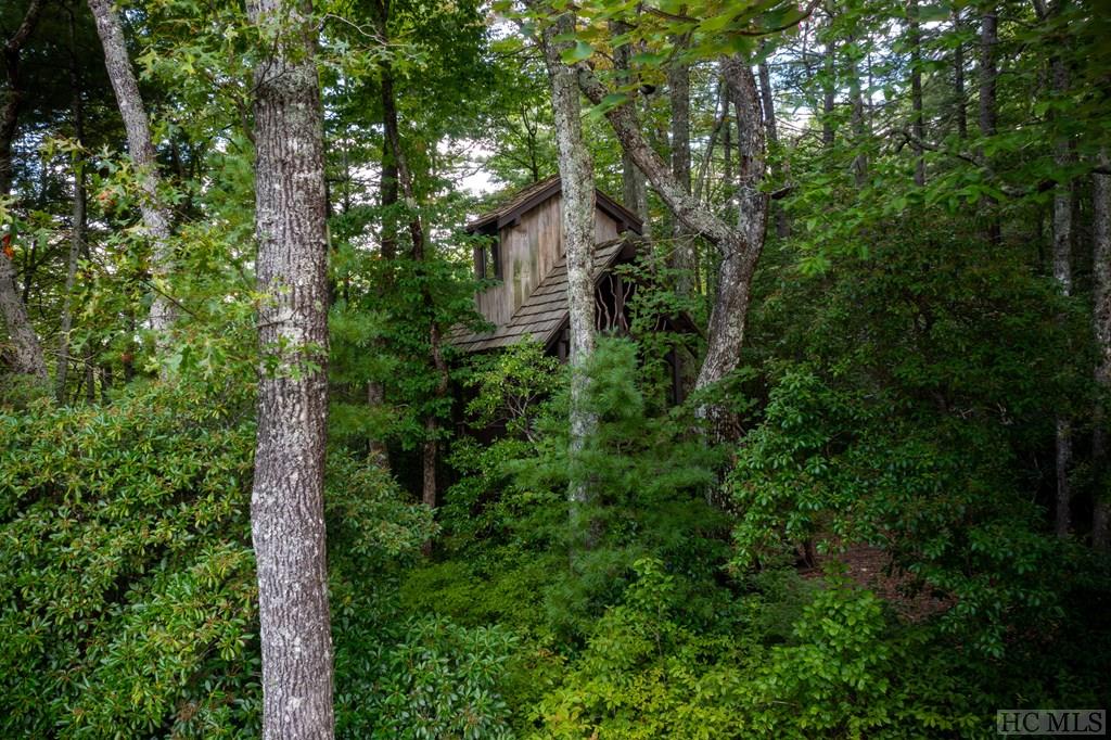 Tbd Eastern Smt Road Cashiers, NC 28717 - Photo 6 of 15 Gallery Image 6