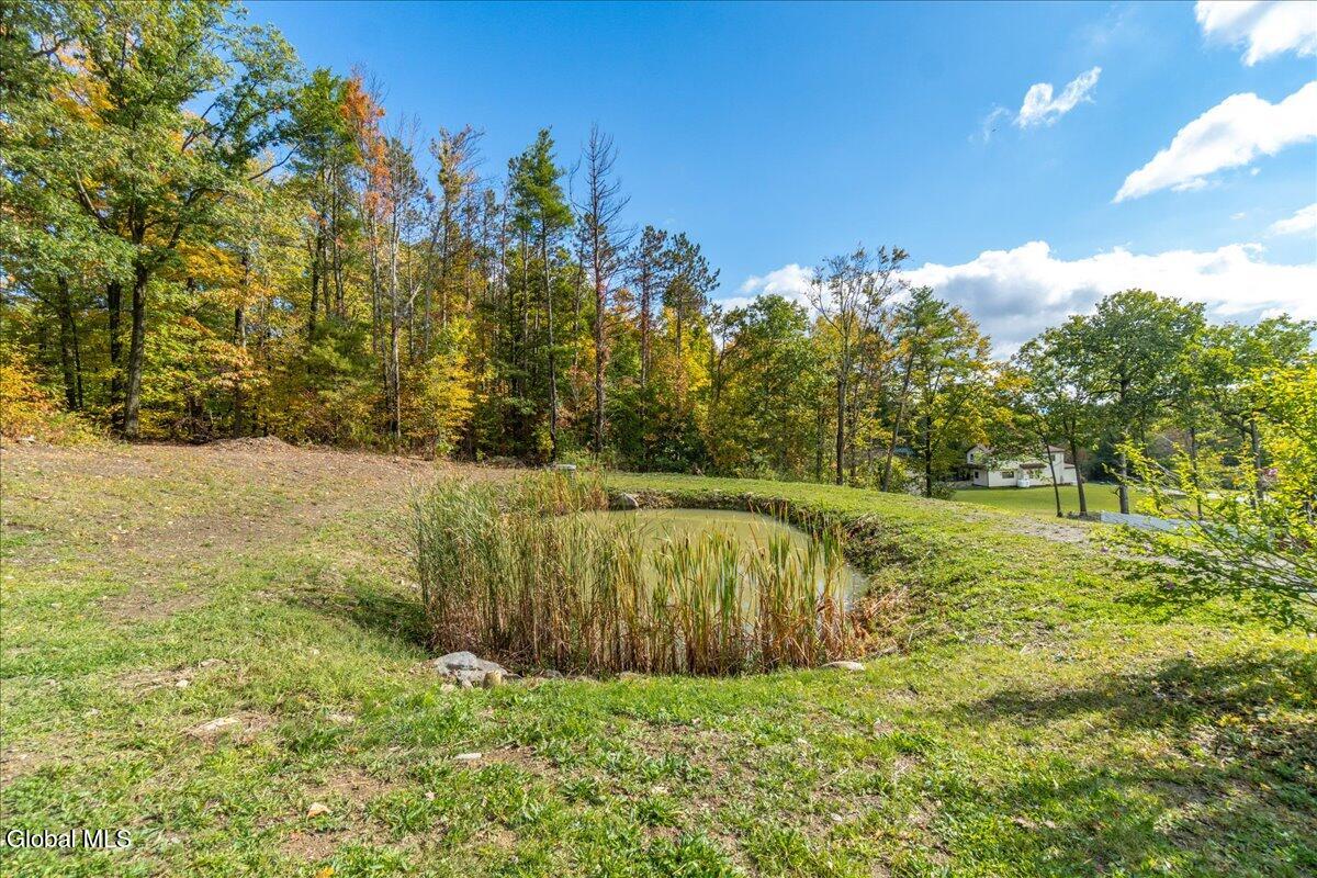 3682 Mariaville Road Rotterdam, NY 12306 - Photo 74 of 104 001-3682 Mariaville Rd-1