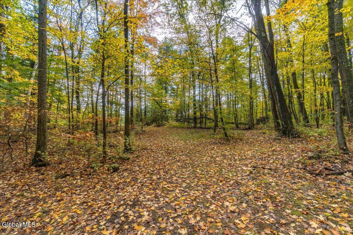 3682 Mariaville Road Rotterdam, NY 12306 - Photo 76 of 104 005-3682 Mariaville Rd-5