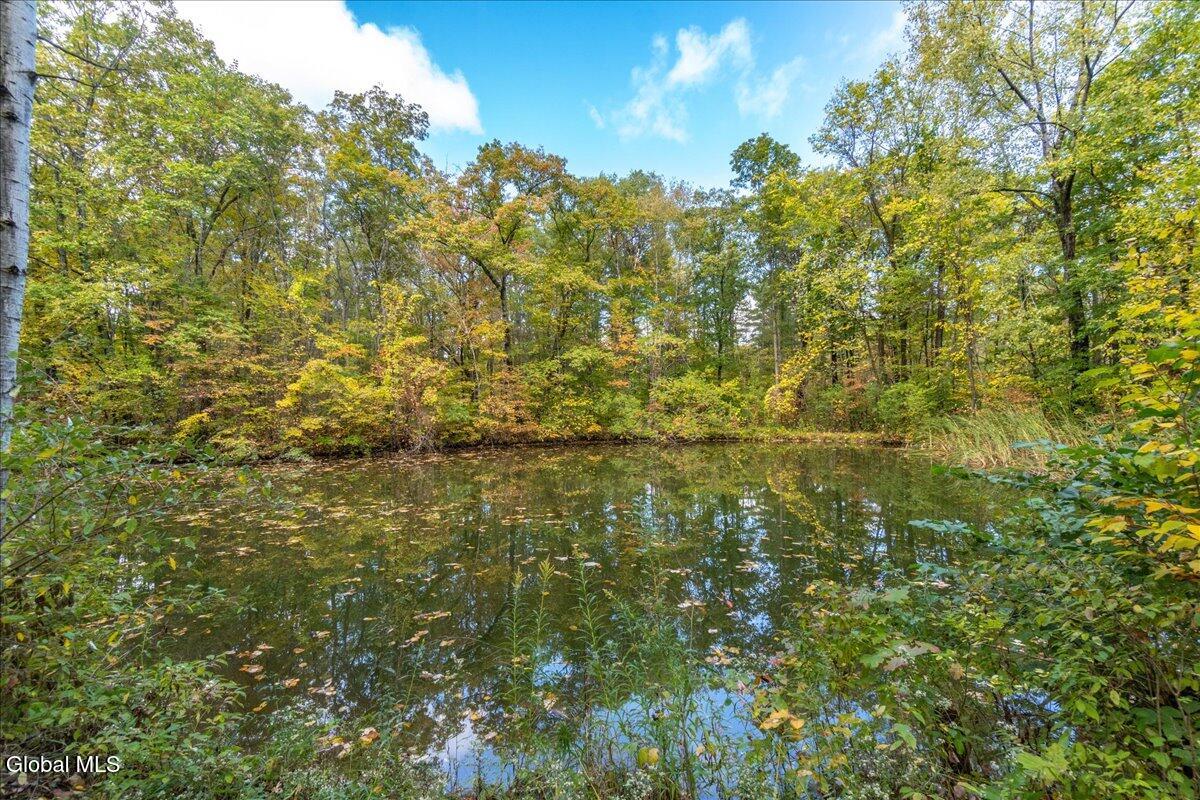 3682 Mariaville Road Rotterdam, NY 12306 - Photo 77 of 104 Lot2 Pond