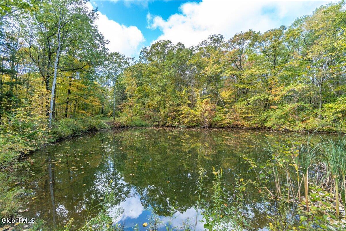 3682 Mariaville Road Rotterdam, NY 12306 - Photo 78 of 104 Lot2 Pond