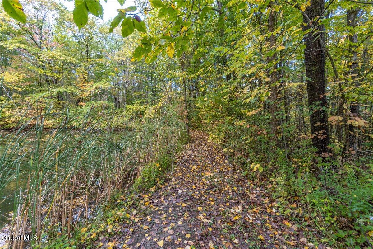 3682 Mariaville Road Rotterdam, NY 12306 - Photo 79 of 104 Lot2 Pond