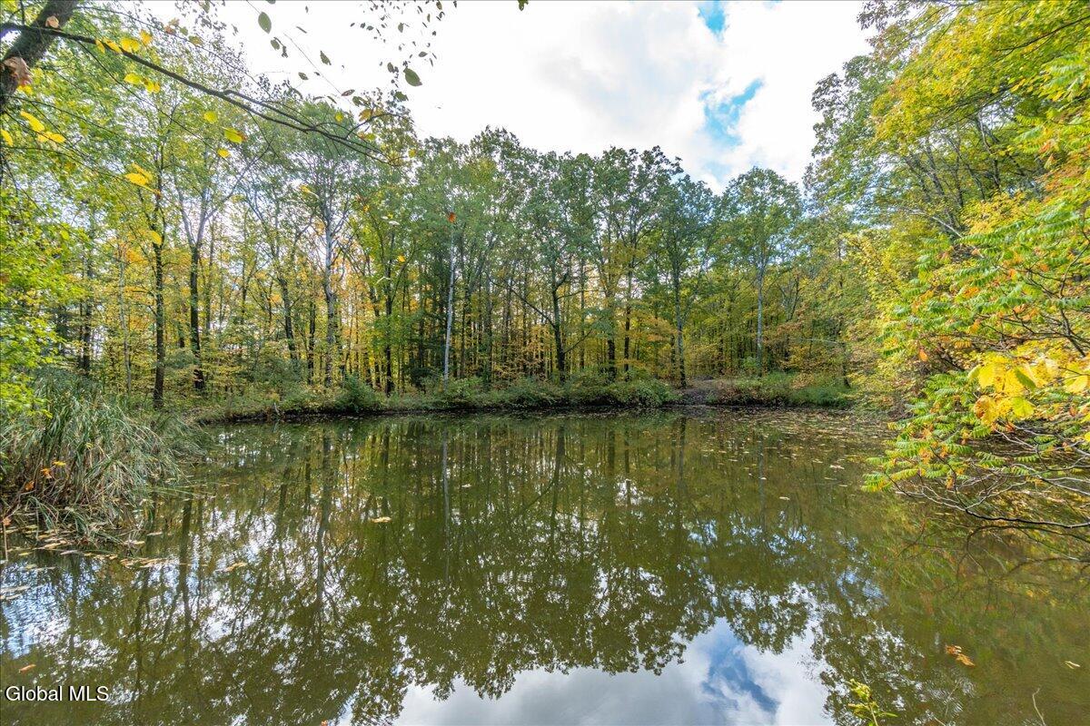 3682 Mariaville Road Rotterdam, NY 12306 - Photo 80 of 104 Lot2 Pond