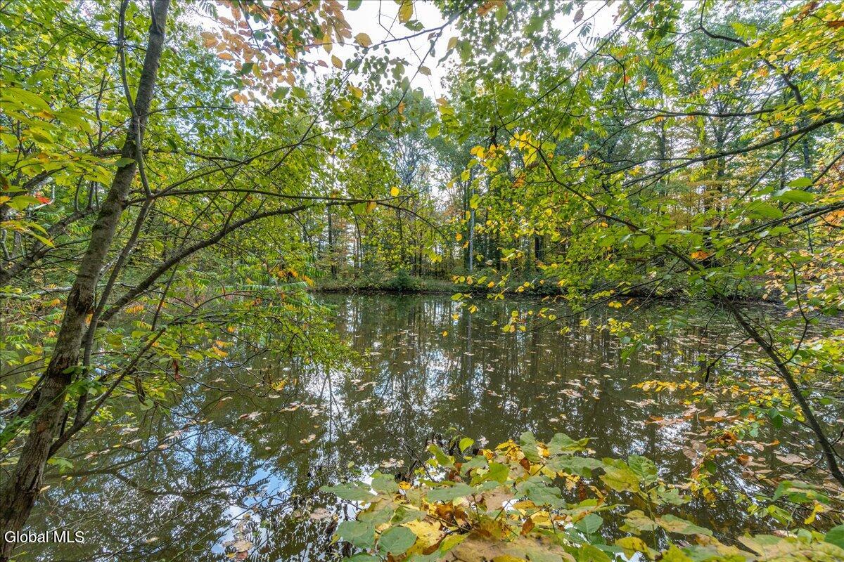3682 Mariaville Road Rotterdam, NY 12306 - Photo 81 of 104 Lot2 Pond