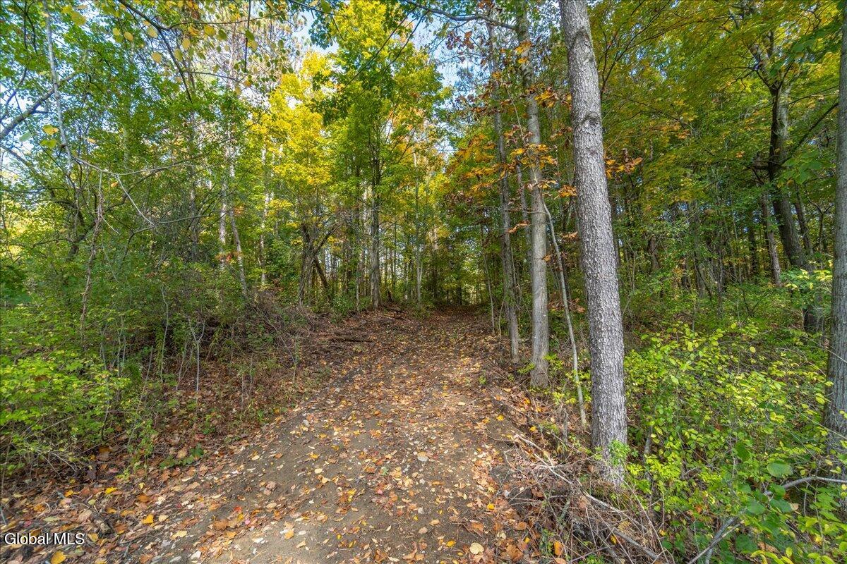 3682 Mariaville Road Rotterdam, NY 12306 - Photo 88 of 104 017-3682 Mariaville Rd-17