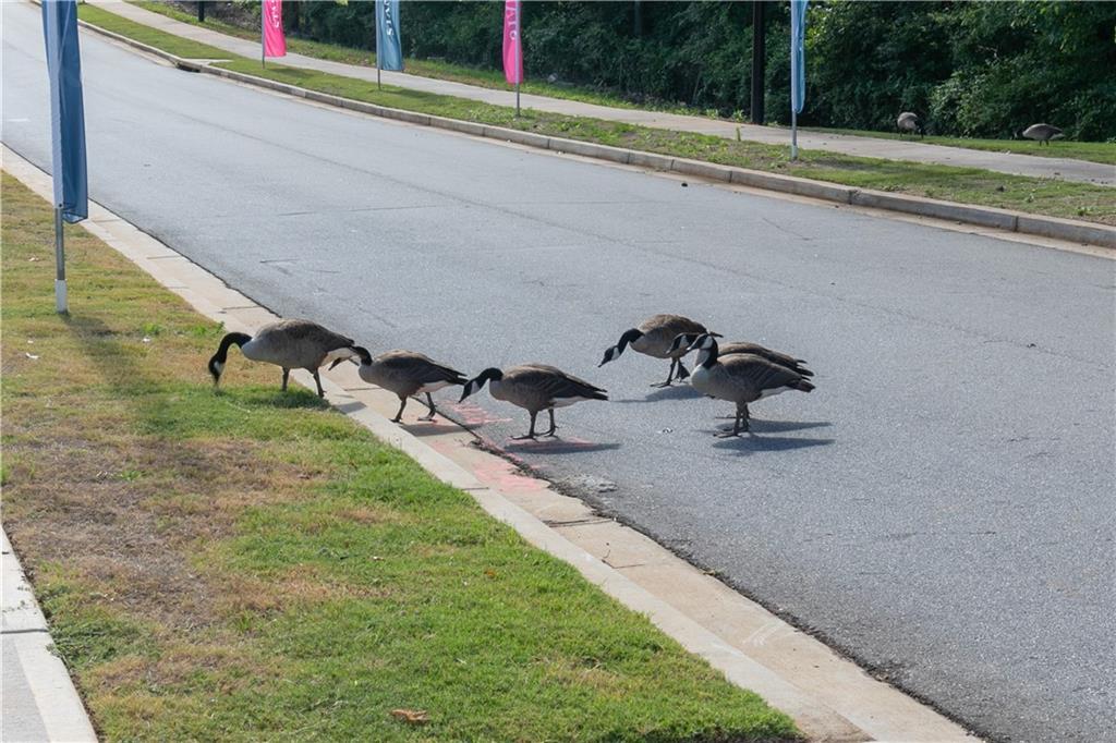 337 Brighton Bnd Lane Acworth, GA 30102 - Photo 41 of 83