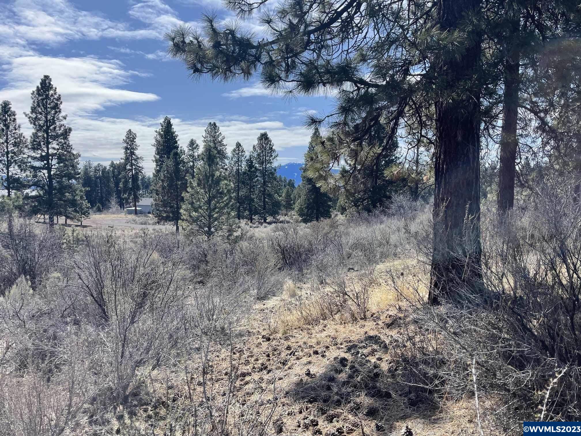 Irving (lot Chiloquin, OR 97624 - Photo 3 of 9