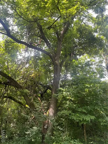 $647,500 | 221 Oaklawn Road, Glen Carbon, IL 62034