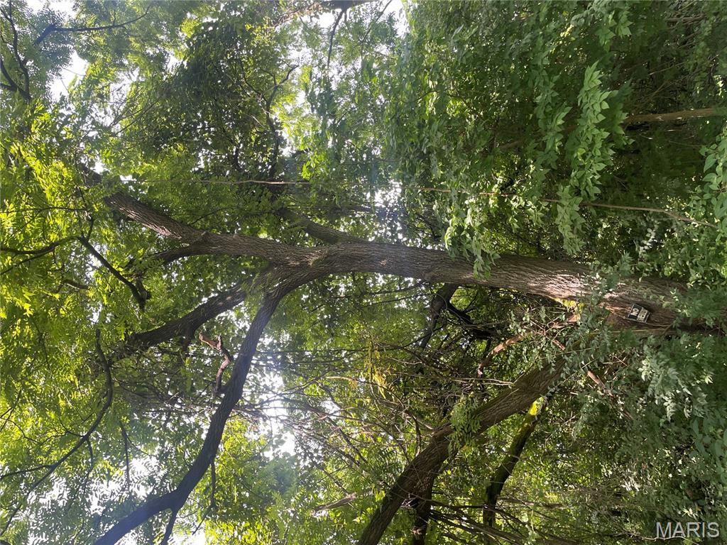 221 Oaklawn Road Glen Carbon, IL 62034 - Photo 16 of 35