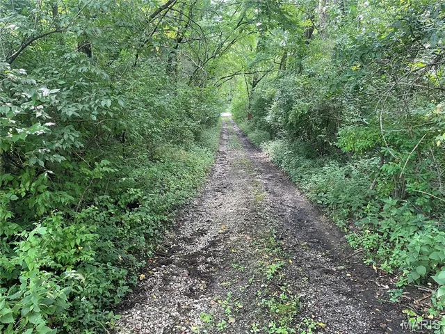 $647,500 | 221 Oaklawn Road, Glen Carbon, IL 62034