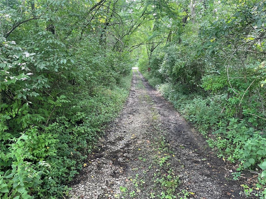 221 Oaklawn Road Glen Carbon, IL 62034 - Photo 17 of 35