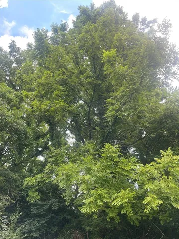 $647,500 | 221 Oaklawn Road, Glen Carbon, IL 62034