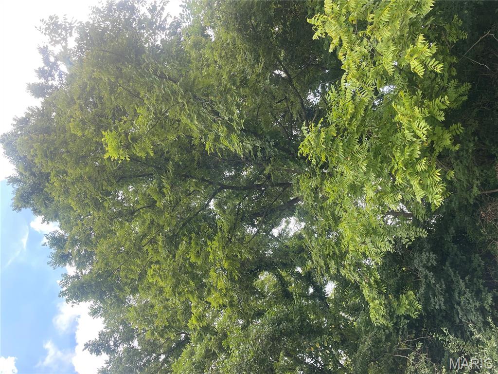 221 Oaklawn Road Glen Carbon, IL 62034 - Photo 20 of 35