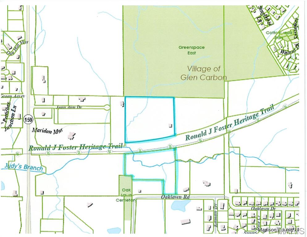 221 Oaklawn Road Glen Carbon, IL 62034 - Photo 2 of 35