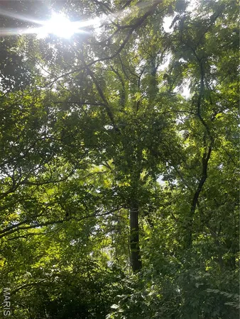 $600,000 | 221 Oaklawn Road, Glen Carbon, IL 62034