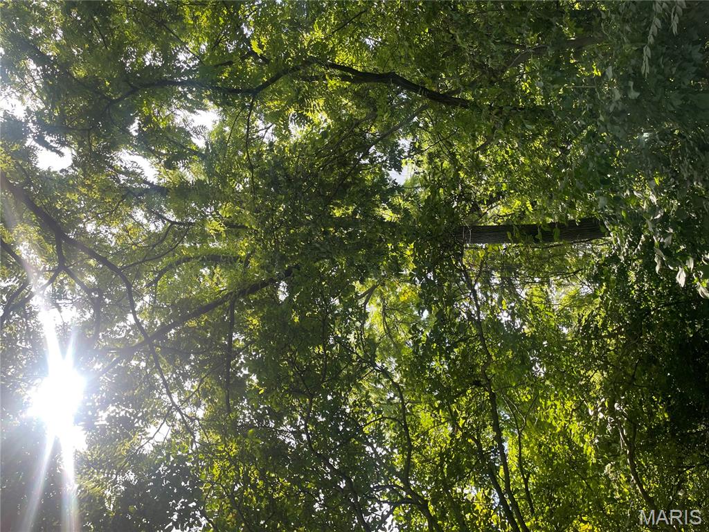 221 Oaklawn Road Glen Carbon, IL 62034 - Photo 24 of 35