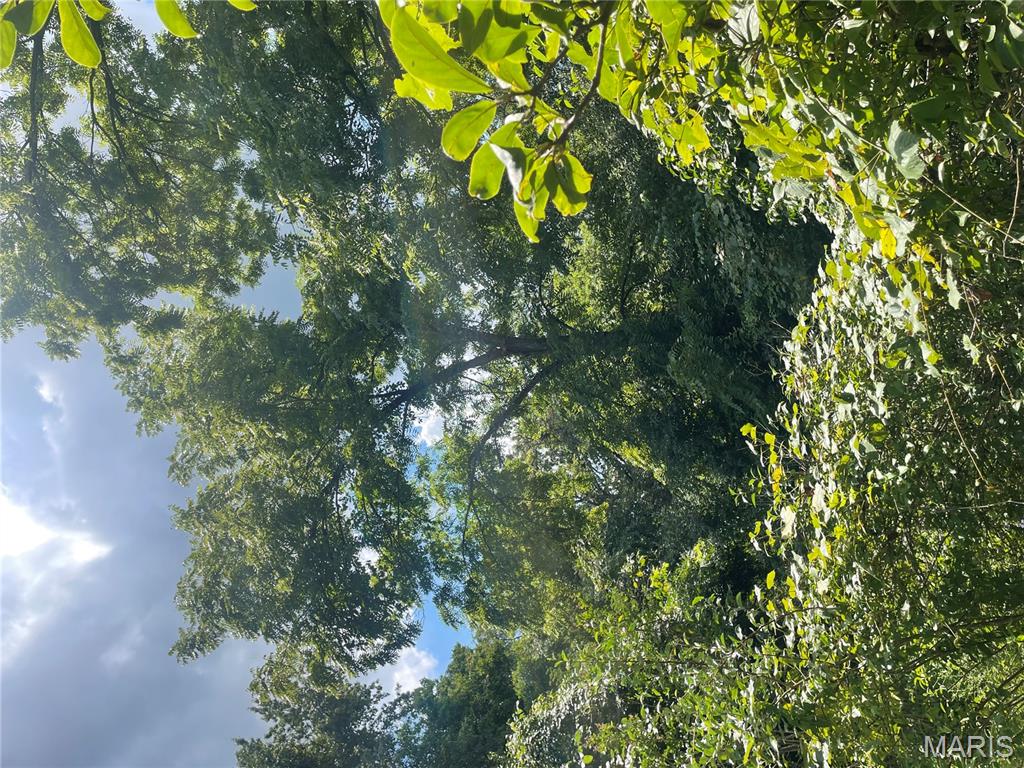 221 Oaklawn Road Glen Carbon, IL 62034 - Photo 25 of 35