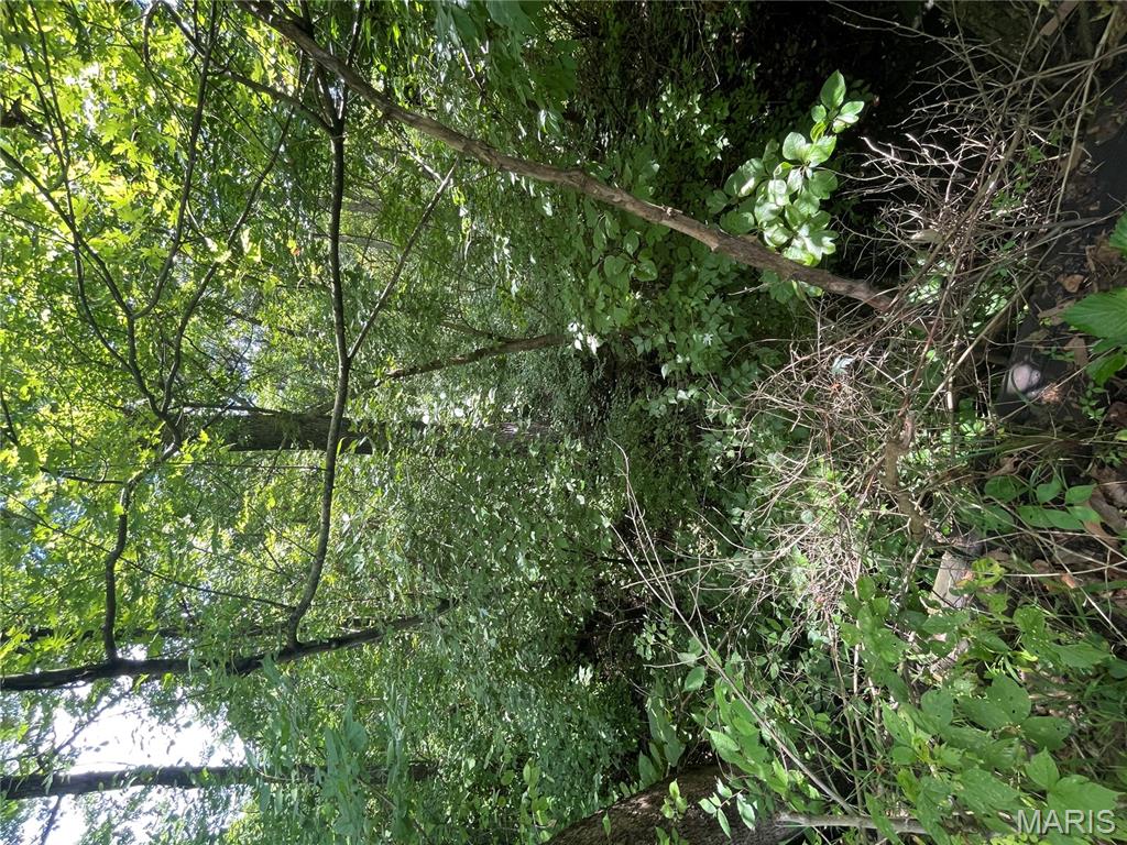 221 Oaklawn Road Glen Carbon, IL 62034 - Photo 27 of 35