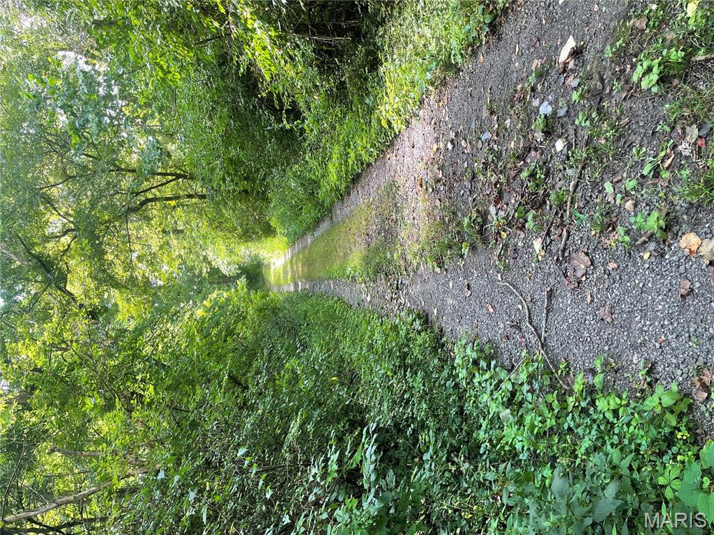 221 Oaklawn Road Glen Carbon, IL 62034 - Photo 30 of 35