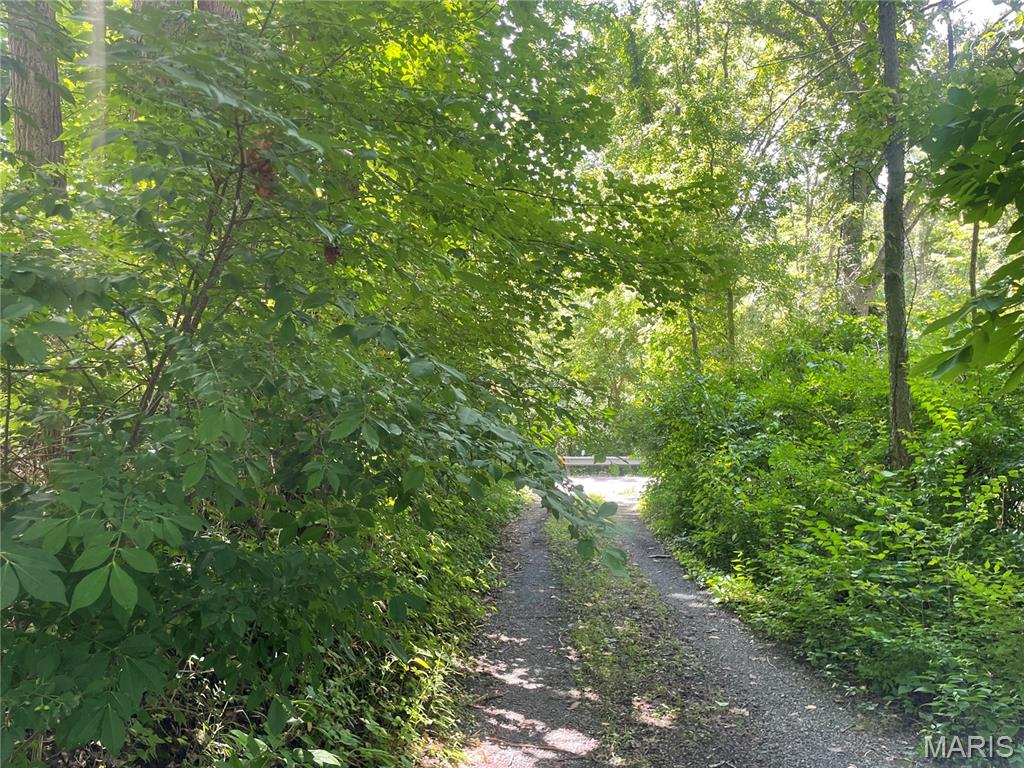 221 Oaklawn Road Glen Carbon, IL 62034 - Photo 4 of 35