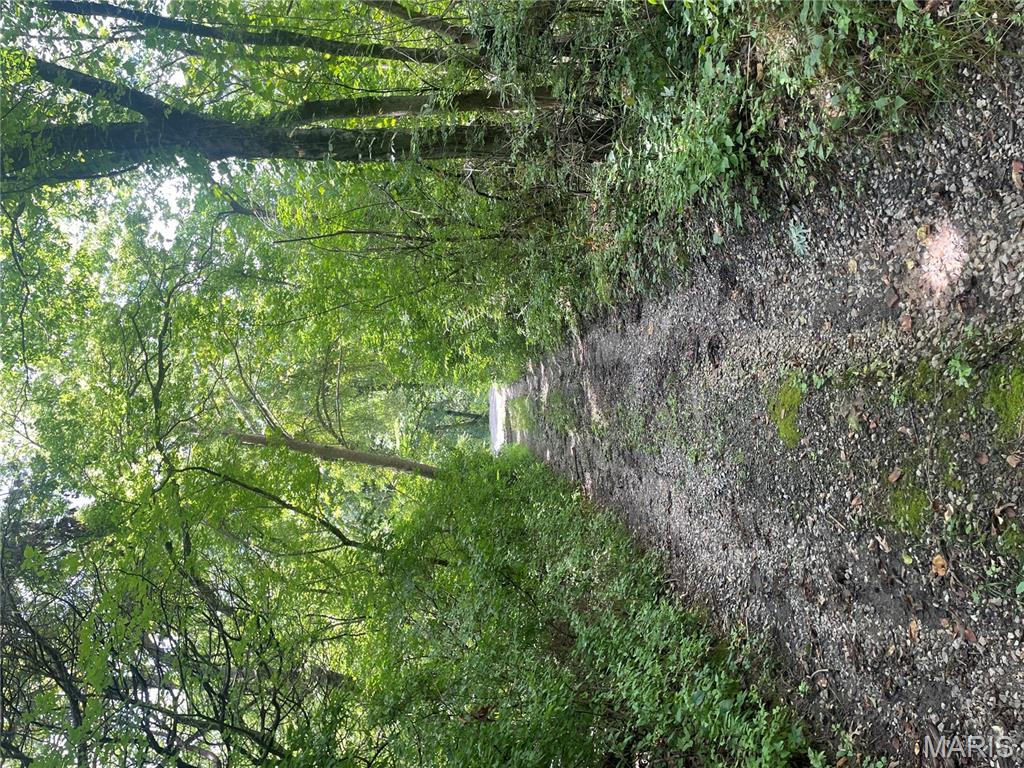 221 Oaklawn Road Glen Carbon, IL 62034 - Photo 6 of 35