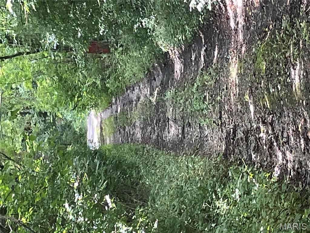 221 Oaklawn Road Glen Carbon, IL 62034 - Photo 7 of 35