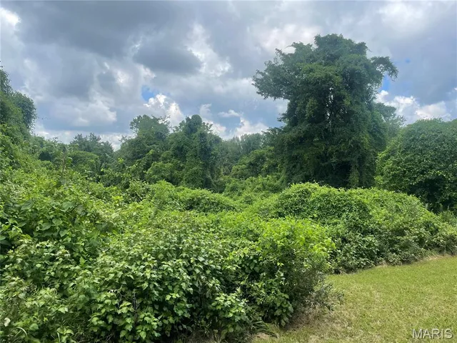 $647,500 | 221 Oaklawn Road, Glen Carbon, IL 62034